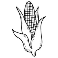 Corn. Vegetable. Vector illustration. Linear hand drawing
