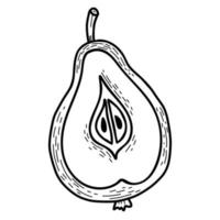 Fruit. Pear. Half. Vector illustration. Linear hand drawing