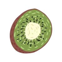 Half kiwi isolated on white background. Abstract tropical fruit. vector