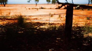 pampas con cerca de alambre de púas y arbustos secos foto