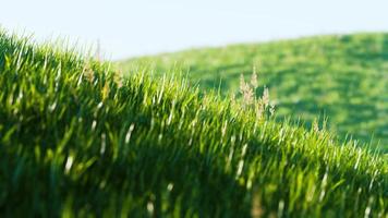 8K green grass field on hills background photo