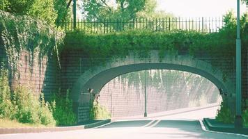 arch bridge with living bush branches in park photo