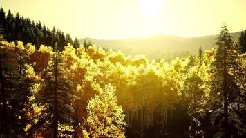 bright sunset in the mountains photo