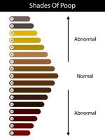 Shades color of poop. Human feces color. Healthy concept. Normal and abnormal value scale. Vector