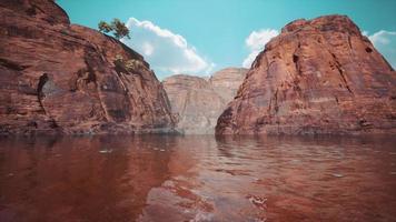 colorado river with gorgeous sandstone walls and canyons