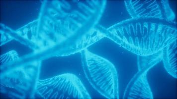 structure of the DNA double helix animation photo