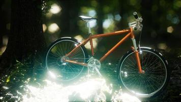 bicicleta de montaña en el camino del bosque foto