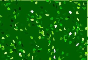 Light Green vector background with abstract forms.