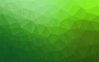 Light Green vector low poly texture.