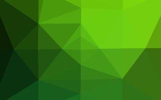 Light Green vector polygon abstract layout.