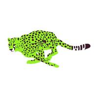 Spotted Wild Cheetah Cat Portrait Graphic vector