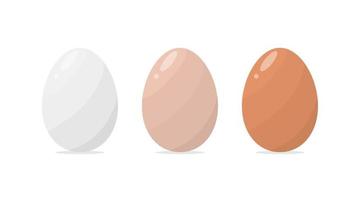 Chicken eggs with different shade of shell set vector