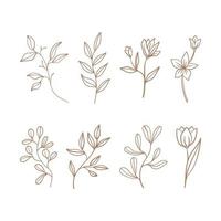 Collection of line leaves and flower vector