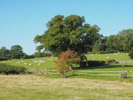 View of Tanworth in Arden photo