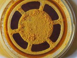 curcuma turmeric powder photo