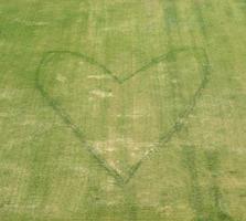 Heart sign in the grass photo