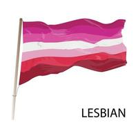 bandera lesbiana sobre un fondo blanco vector