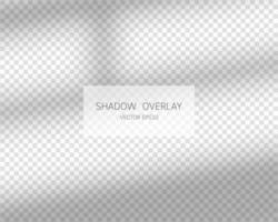 Shadow overlay effect. Natural shadows from window isolated on transparent background. Vector illustration.