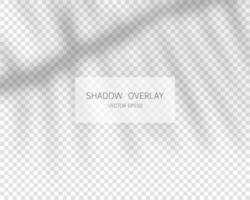 Shadow overlay effect. Natural shadows isolated on transparent background. Vector illustration.