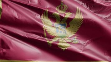 bandera de montenegro ondeando lentamente en el bucle de viento. estandarte montenegrino balanceándose suavemente con la brisa. fondo de relleno completo. Bucle de 20 segundos. video