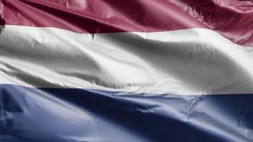 nederlandse vlag langzaam zwaaiend op de windlus. Nederlandse banner soepel zwaaiend op de wind. volledige vulling achtergrond. 20 seconden lus. video