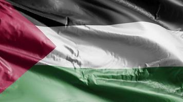 bandera palestina ondeando en el bucle de viento. estandarte palestino balanceándose con la brisa. fondo de relleno completo. Bucle de 10 segundos. video