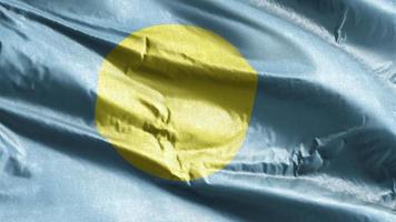 Palau textile flag waving on the wind loop. Palauan banner swaying on the breeze. Fabric textile tissue. Full filling background. 10 seconds loop. video