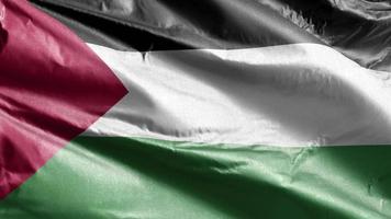 bandiera tessile palestina che ondeggia lentamente sul ciclo del vento. bandiera palestinese che ondeggia dolcemente sulla brezza. tessuto in tessuto. sfondo di riempimento completo. Ciclo di 20 secondi. video
