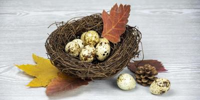 ostcard Happy Easter. Easter eggs, feathers in a nest on a light wooden background. Spring composition. Minimal concept. photo