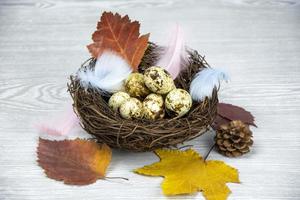 Easter eggs, feathers in a nest on a light wooden background. Spring composition. Postcard Happy Easter. Minimal concept. photo