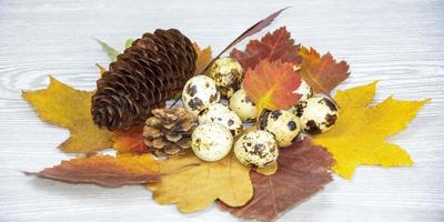 Easter card with eggs, leaves and cones. Spring composition on a light background. photo