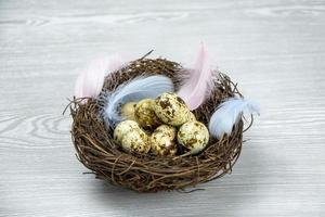 Easter eggs, feathers in a nest on a light wooden background. Spring composition. Postcard Happy Easter. photo