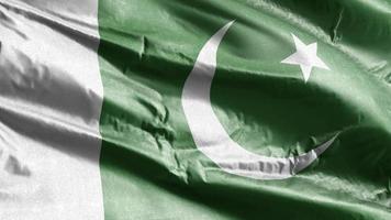 Pakistan textile flag waving on the wind loop. Palauan banner swaying on the breeze. Fabric textile tissue. Full filling background. 10 seconds loop. video