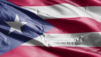 Puerto Rico vlag zwaaien op de wind-lus. Puerto Rico banner zwaaiend op de wind. volledige vulling achtergrond. 10 seconden lus. video