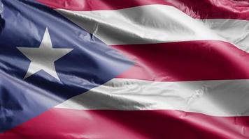 Puerto Rico vlag langzaam zwaaien op de wind-lus. Puerto Rico banner soepel zwaaiend op de wind. volledige vulling achtergrond. 20 seconden lus. video