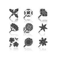 Wild flowers drop shadow black glyph icons set. Douglas iris, franciscan wallflower, cow parsnip, candytuft, common star lily, blue flax, helianthus, coreopsis. Isolated vector illustrations