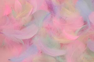 Beautiful romantic background of colorful bird feathers in pink, white, blue, purple, green colors photo