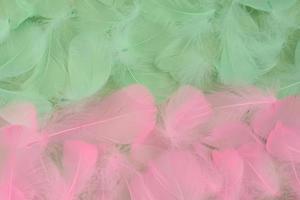 Abstract Beautiful two-tone background of lightweight soft green and pink bird feathers, flat lay photo