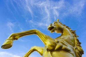 caballo dorado con fondo de naturaleza de cielo azul foto