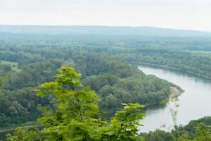 tree on the background of the landscape with the river and forest photo