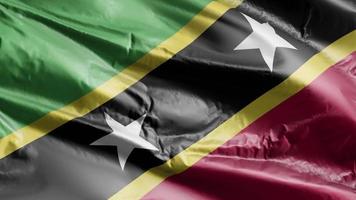 Saint Kitts and Nevis flag waving on the wind loop. Saint Kitts and Nevis banner swaying on the breeze. Full filling background. 10 seconds loop. video