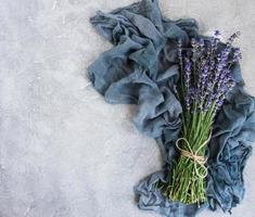 fresh lavender flowers photo