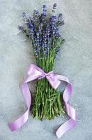 fresh lavender flowers photo