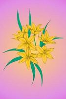 Bobartia indica colored illustration vector