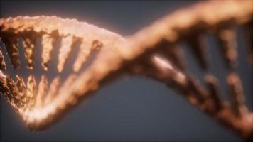 bright particulate 3D rendered DNA photo