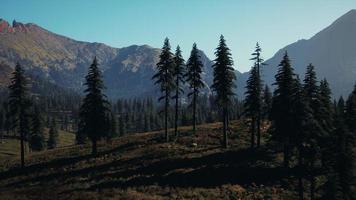 Aerial view over Mountain range with pine forest in Bavaria photo