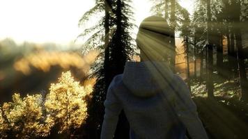 mujer joven de pie sola al aire libre con montañas de bosque salvaje foto