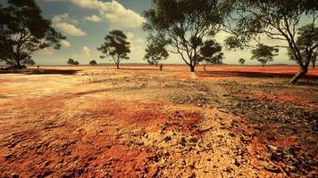 cracked sand in the summer with the sun photo