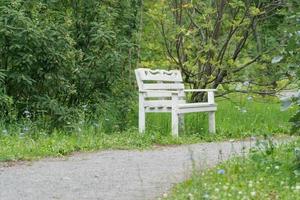 banco de madera blanca en el parque junto al camino foto