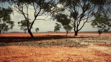 badly cracked earth under a scorching sun photo